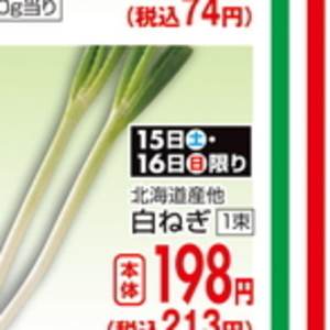 ながねぎ