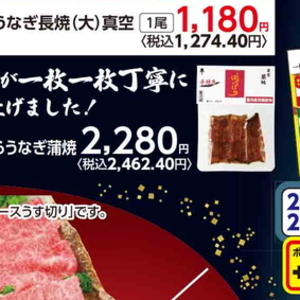 うなぎの蒲焼き