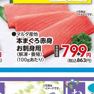 まぐろ赤身
