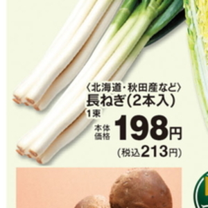 ながねぎ