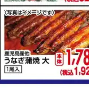 うなぎの蒲焼き