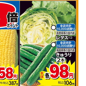 きゅうり