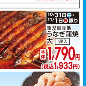 うなぎの蒲焼き