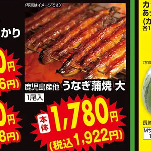 うなぎの蒲焼き