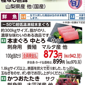 まぐろ中とろ