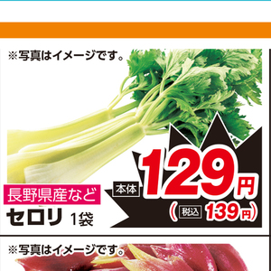 セロリ