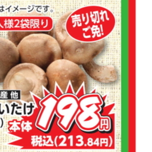 しいたけ