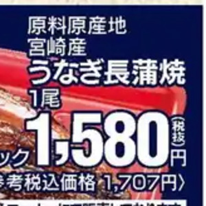 うなぎの蒲焼き