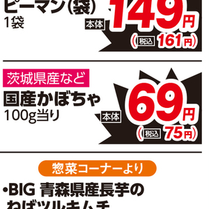 かぼちゃ