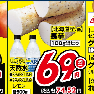 ながいも