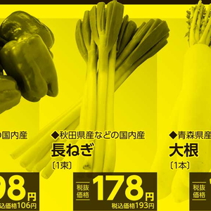 ながねぎ