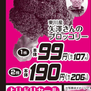 ブロッコリー