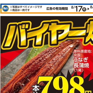 うなぎの蒲焼き