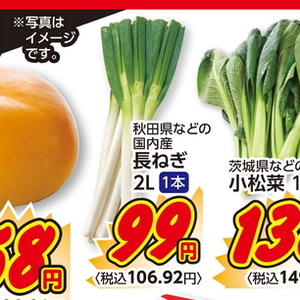ながねぎ