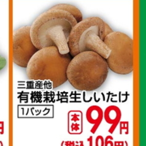 しいたけ