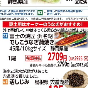 うなぎの蒲焼き