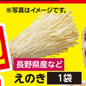 えのき茸