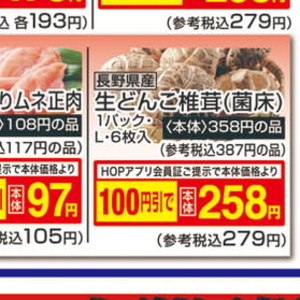しいたけ