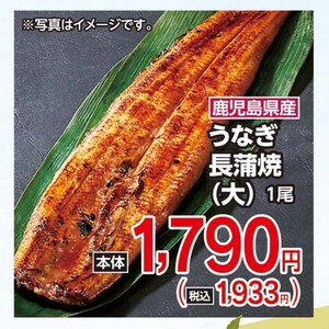 うなぎの蒲焼き