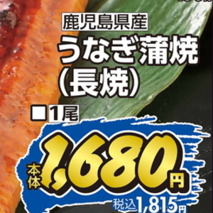 うなぎの蒲焼き