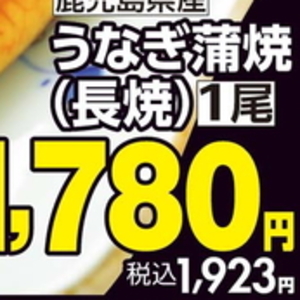 うなぎの蒲焼き