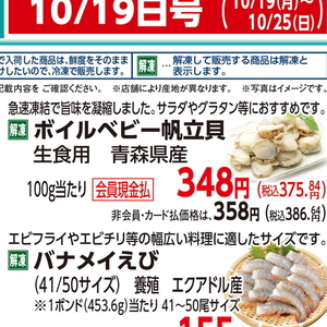 ほたて（ベビー）