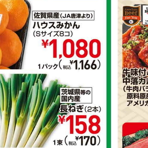 ながねぎ