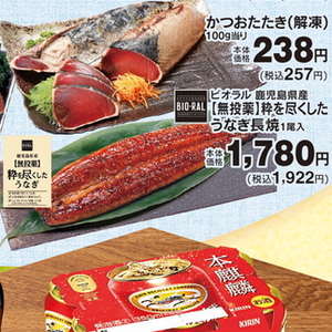 うなぎの蒲焼き