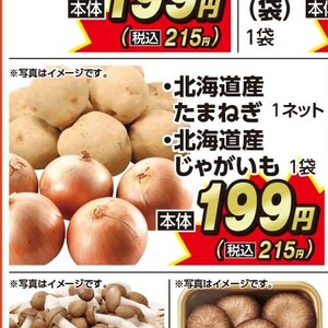 たまねぎ