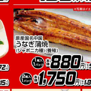 うなぎの蒲焼き