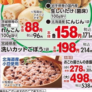 ごぼう