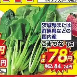 こまつ菜
