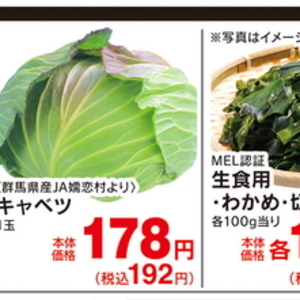 こまつ菜