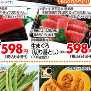 まぐろ（さく取り）