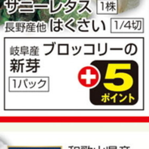 ブロッコリースプラウト