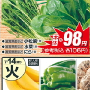 こまつ菜