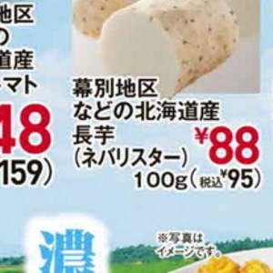ながいも