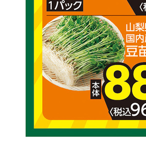豆苗
