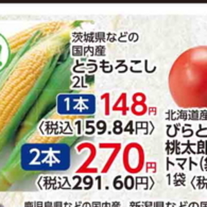 とうもろこし