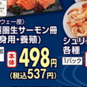 サーモン（さく取り）