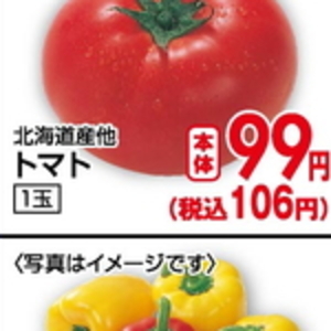 たまねぎ