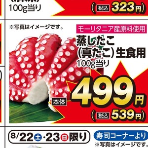 たこ（ボイル）