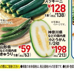 冬瓜