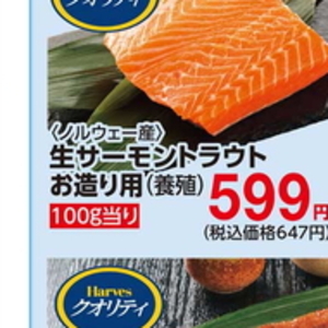 サーモン（刺身）