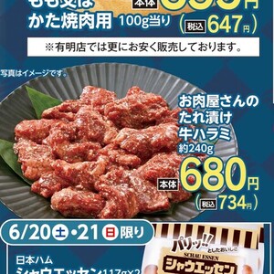 牛肉ハラミ