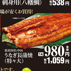 うなぎの蒲焼き