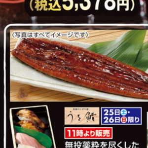 うなぎの蒲焼き