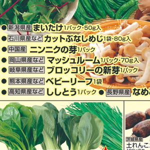 ブロッコリースプラウト
