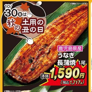 うなぎの蒲焼き