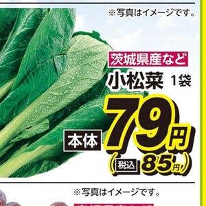 こまつ菜